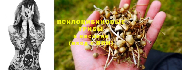 крисы Покров
