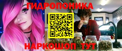 Альфа ПВП Аргун