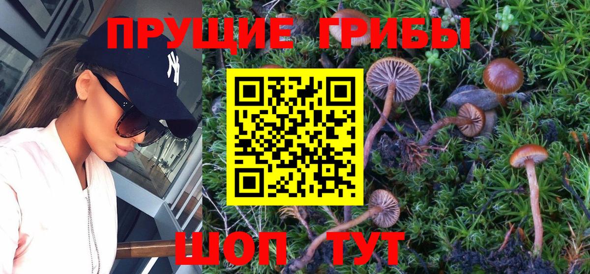 как найти закладки  Псилоцибиновые грибы Magic Shrooms  Вход с VPN  Каменск-Уральский 