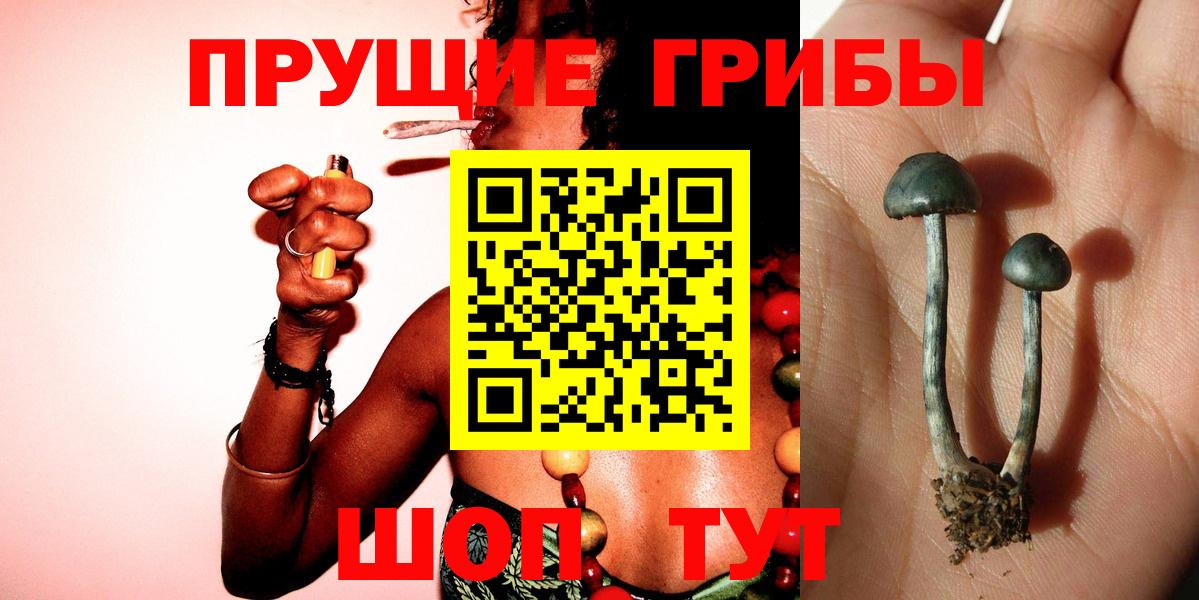 Псилоцибиновые грибы MAGIC MUSHROOMS Каменск-Уральский
